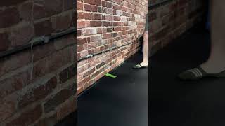 Part 1 Foot/Ankle Pain Workshop 4/6/24