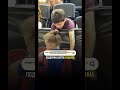 Поддержка старшего брата без цена