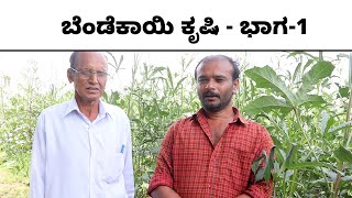 Lady Finger Cultivation | Okra Farming Guide ತ್ರಾಸಿಲ್ಲದೆ  ಬೆಂಡೆ ಕೃಷಿ ಮಾಡುವುದು ಹೇಗೆ? Vijay Karnataka