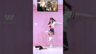 토카토카 Toca Toca 웨이브야 Waveya Ari #shorts