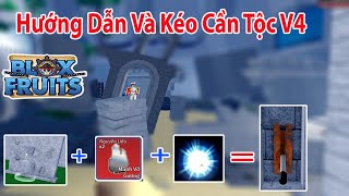 Roblox - Hướng Dẫn Và Kéo Cần Thức Tỉnh Tộc V4 Cho Ac Phụ | Blox Fruits screenshot 4