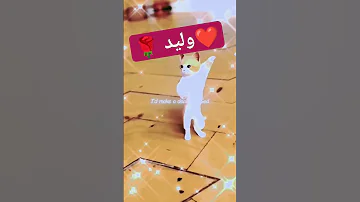 وليد طلب خاص وليد Foryou Waled Shorts Sh Short ترند Cat 