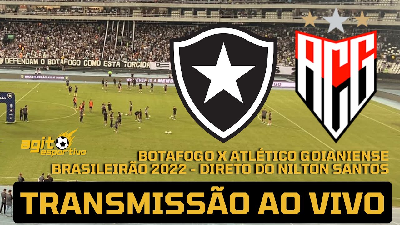 Contra o Goiás, Botafogo atingirá número histórico de público no Nilton  Santos em jogos pelo Brasileirão - Lance - R7 Futebol