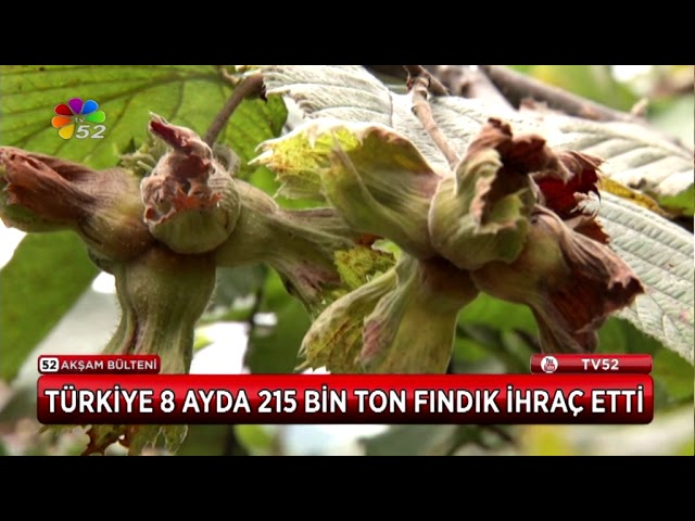 03/05/2018 AKŞAM BÜLTENİ