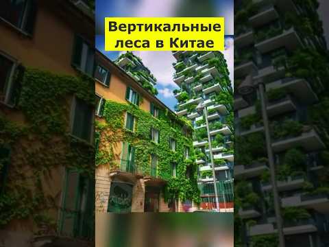 Вертикальные леса в