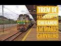 P001 chegando em mario carvalho