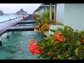 Нескучные Мальдивы :)  Sun Island Resort & Spa 2016
