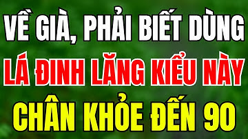Người Cao Tuổi Biết Dùng Lá Đinh Lăng Theo Cách Này, Ngừa Teo Cơ, Hết Tê Tay, Yếu Chân