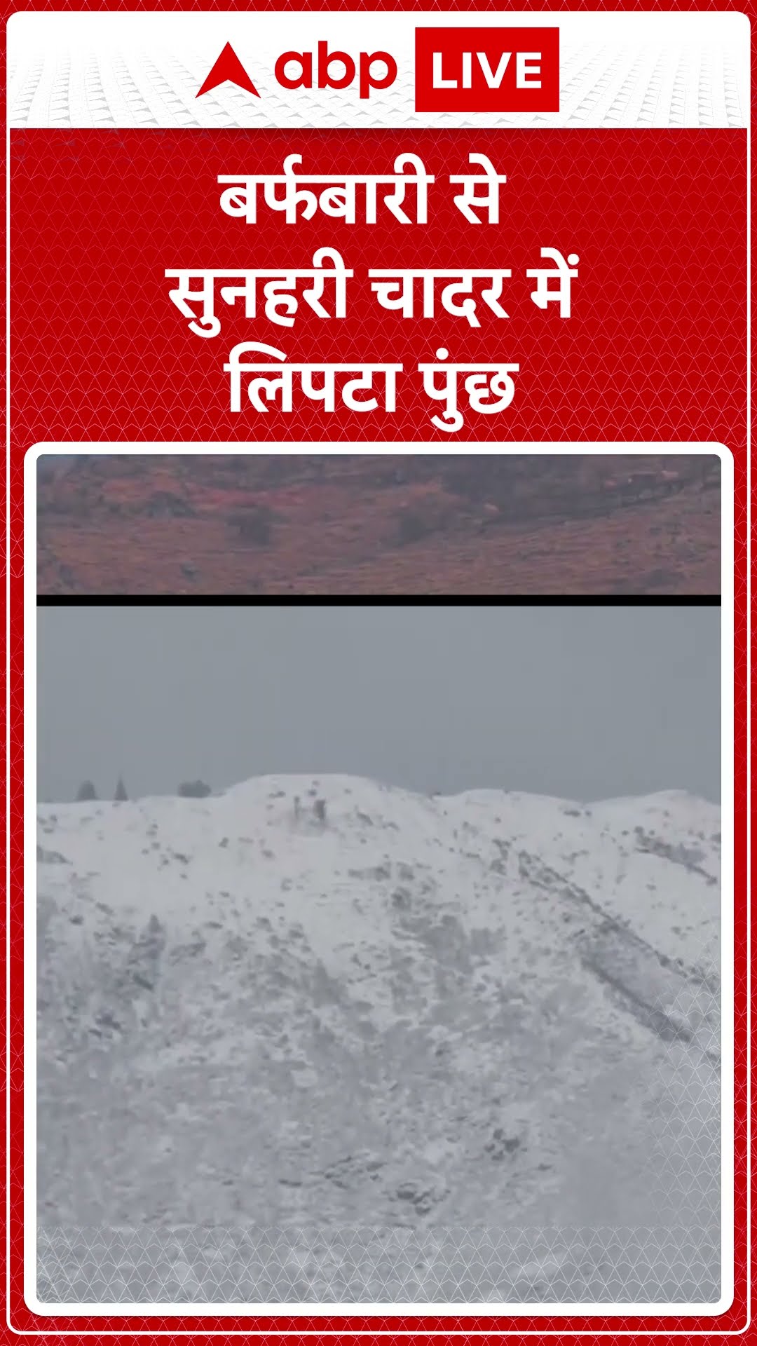 Jammu Kashmir News: बर्फबारी से सुनहरी चादर में लिपटा पुंछ | ABP NEWS SHORTS