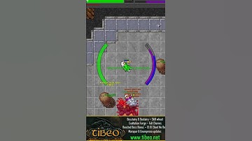 Maxxenius #shorts #tibia #tibiapvp #cipsoft #2dgames #tibiame COME PLAY!