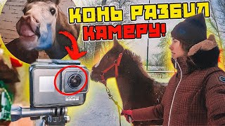 VLOG: Гуляем с жеребятами / КОНЬ РАЗБИЛ камеру...