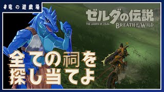 #1【ゼルダの伝説・breath of wild】前世で成し得なかった祠探索を完遂せよ【竜の遊技場】