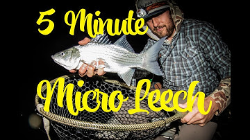 How to Tie: 5-Minute Marabou Leech (Brian Chan) - Stillwater for Trout, Bass, Walleye, Pike, Carp..
