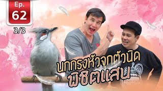 นกกรงหัวจุกตัวนิด พิชิตแสน - เพื่อนรักสัตว์เอ้ย EP 62 [3/3]