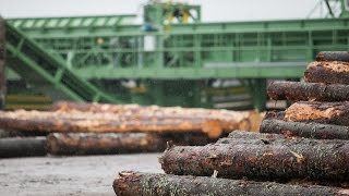 картинка: Открытие завода Sudoma. Сюжет «Вести Псков»