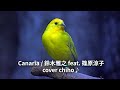 Canaria 鈴木雅之 feat 篠原涼子 cover chiho♪