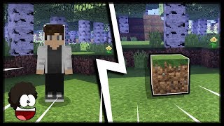 Minecraft: How To Morph Into Blocks?