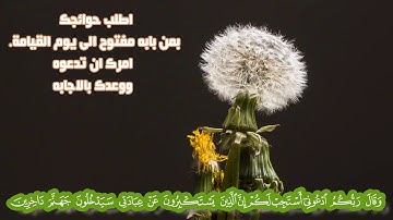 تدبر اية (وقال ربكم ادعوني أستجب لكم ) سورة غافر