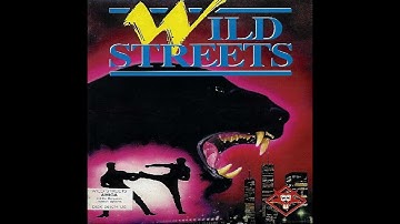 WILD STREETS (Amstrad CPC+ / GX4000 Gameplay Sample)