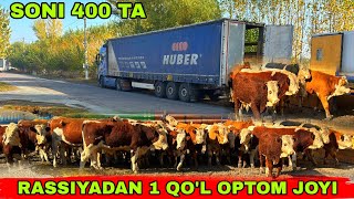 видео: RASSIYADAN 1 QO’L BUQALAR KELDI OPTOM ARZON JOYI😱😱😱✅30 октября 2025 г. картинка: RASSIYADAN 1 QO’L BUQALAR KELDI OPTOM ARZON JOYI😱😱😱✅30 октября 2025 г.