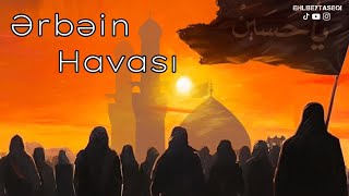 Ərbəin havasi - Mehdi Leysi 2023 (mersiye) Resimi