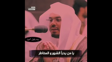 تلاوة خاشعة ♥️ بصوت الشيخ ياسر الدوسري 🥰 حالات واتس اب دينية 🥰