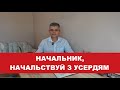 Начальник, начальствуй!