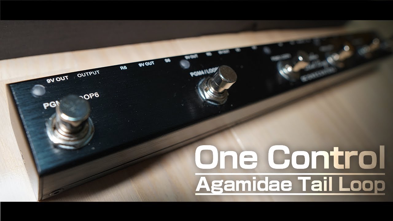 One Control Agamidae Tail Loop - 楽器/器材