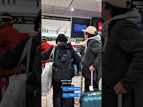 Keisei Skyliner from Narita Airport to Tokyo Japan