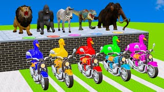 5 Gaint Duck Cartoon, Mammoth, Gorilla, Lion, Dinosaur, Wild Animal Cage Game Paint Animals