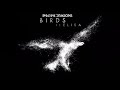 Imagine Dragons - “Birds” ft. Elisa (1 hour loop)