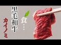 【和牛】黒毛和牛カイノミ　焼肉　特上カルビ　商材　西日本畜産