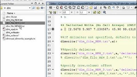File I/O: Delimited .txt files