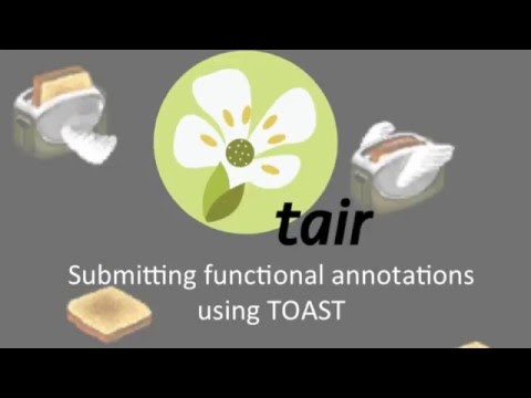 TAIR's Online Annotation Submission Tool (TOAST)