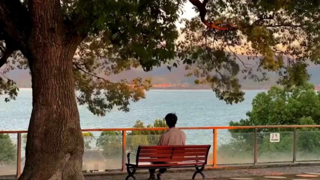 চায়ের কাপে গল্প জমে হাসির ফাঁকে ফাঁকে,🎧 chaer cup e golpo jome 🧡