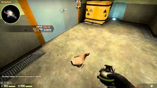 CS:GO grenade through door bug