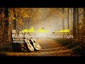 Guitars Drenched in Autumn Light/ Acoustic guitar ensemble/ #royaltyfreemusic#nocopyrightmusic