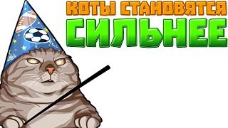 КОТЫ СТАНОВЯТСЯ СИЛЬНЕЕ - Strikeforce Kitty КОТЫ СТАНОВЯТСЯ СИЛЬНЕЕ - Strikeforce Kitty