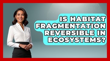 Is Habitat Fragmentation Reversible in Ecosystems? | Explaining Ecology News