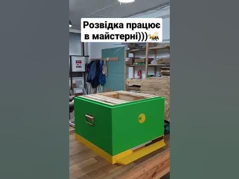 ВУЛИК В МАЙСТЕРНІ!🙂🐝 - YouTube