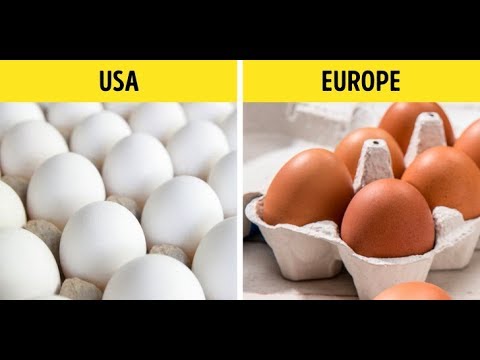 Video 10+ Popular Food Items Around the World That Are Different in the US