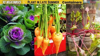 10 Vegetables to Plant in Late Summer in Containers   Growing summer vegetables