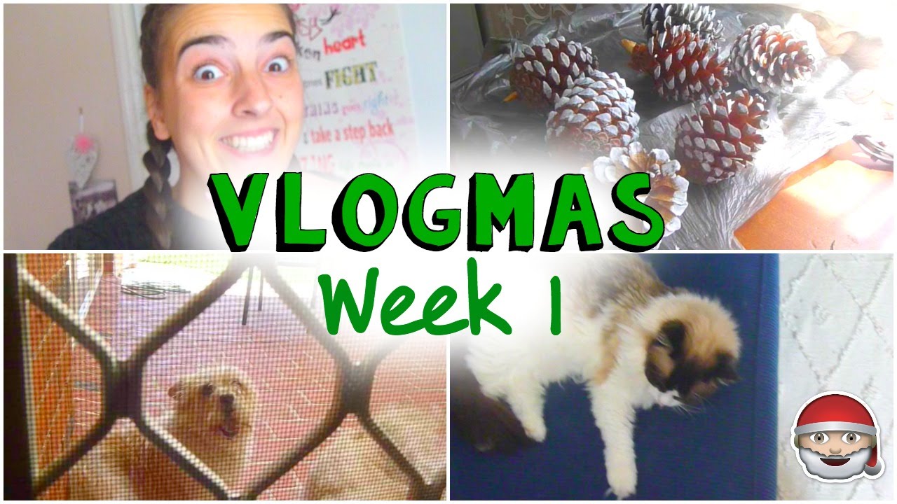 BTS Christmas video || Vlogmas Week 1!!