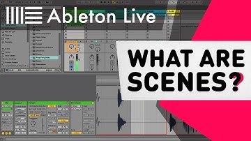 Ableton Live Tutorial - What are Scenes?
