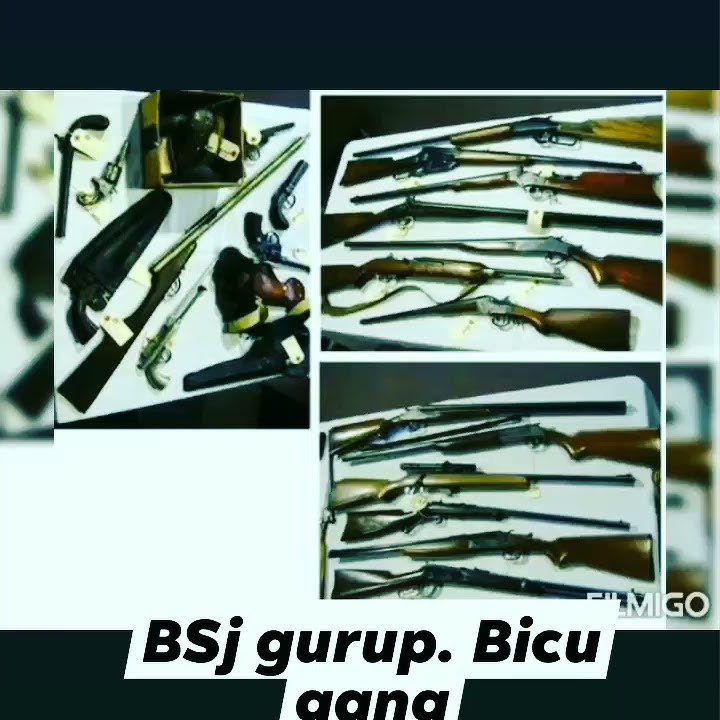 Bicu gang.