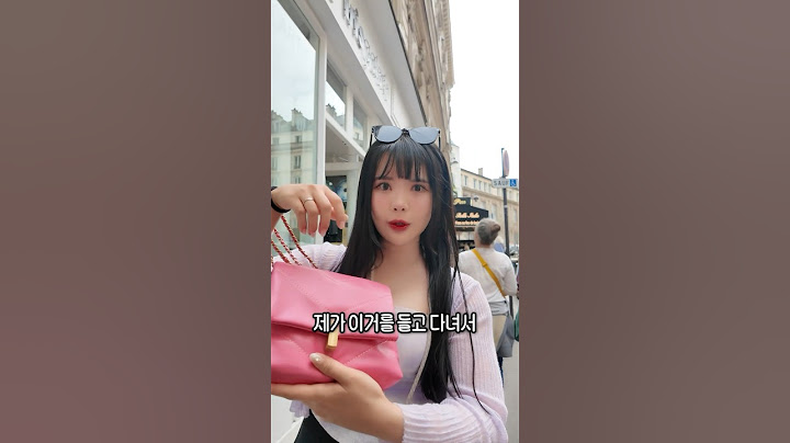 프랑스 파리 가방 소매치기 당하기