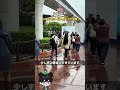 【速報】2026年5月21日(木)ディズニーシー大雨の平日でもシーは人気でやや混雑! #ディズニー混雑状況