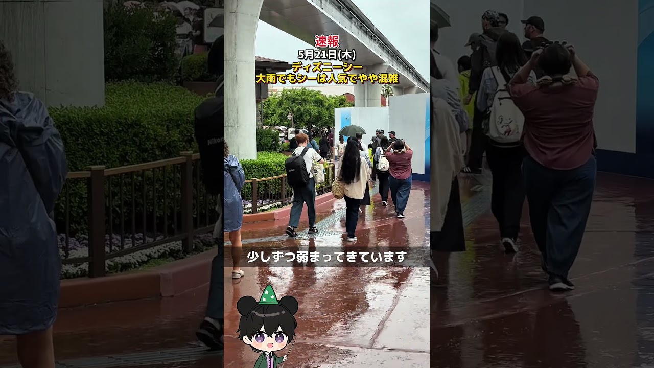 【速報】2026年5月21日(木)ディズニーシー大雨の平日でもシーは人気でやや混雑! #ディズニー混雑状況