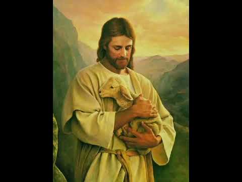 ምስጋና ይቀጥል