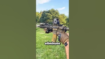 The BEST Assault Rifle in the World?